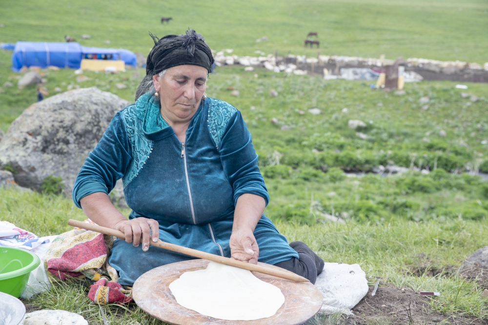 İşğaldan azad edilmiş ərazilərdə yerləşən yaylaqlara köçürülən təsərrüfatlar-FOTO